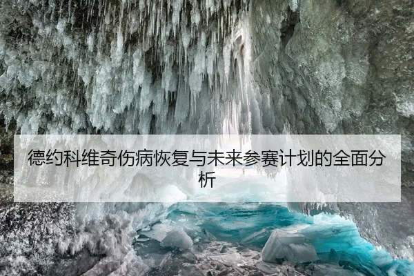 德约科维奇伤病恢复与未来参赛计划的全面分析